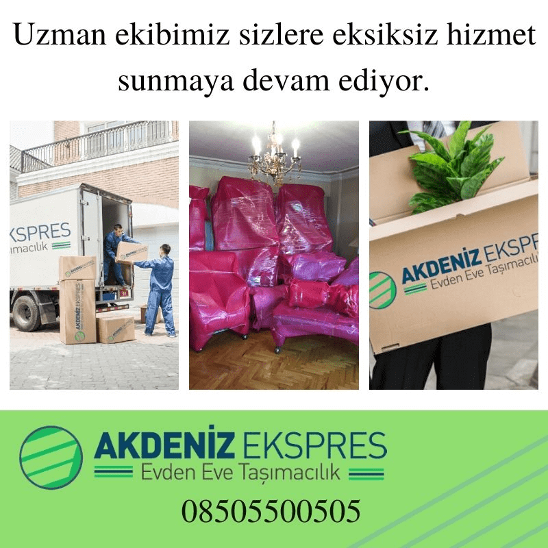 en iyi Muğla nakliyat şirketleri